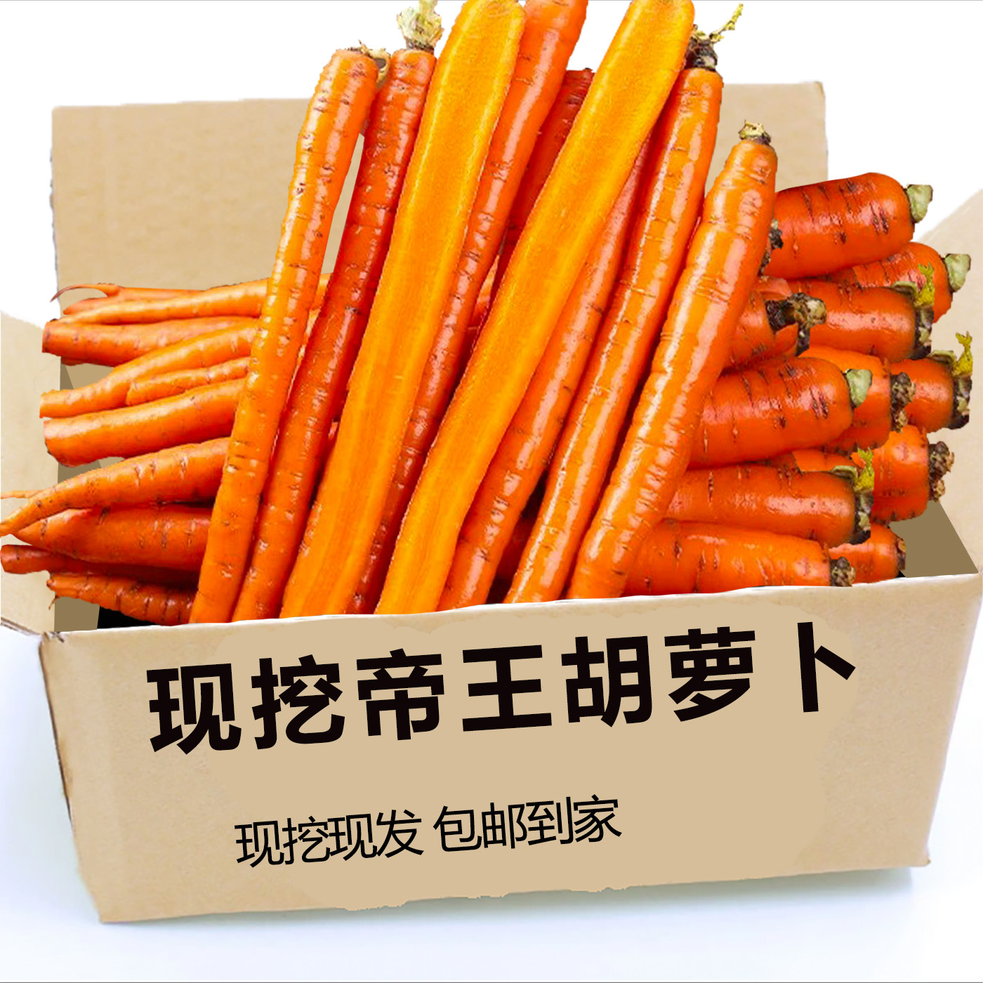 山东新鲜帝王脆甜胡萝卜带泥发货农家直供现挖蔬菜生吃坏果包赔
