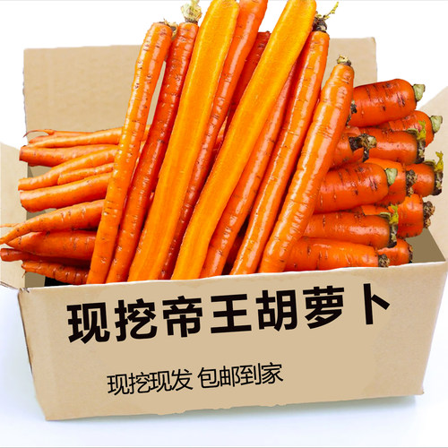 山东新鲜帝王脆甜胡萝卜