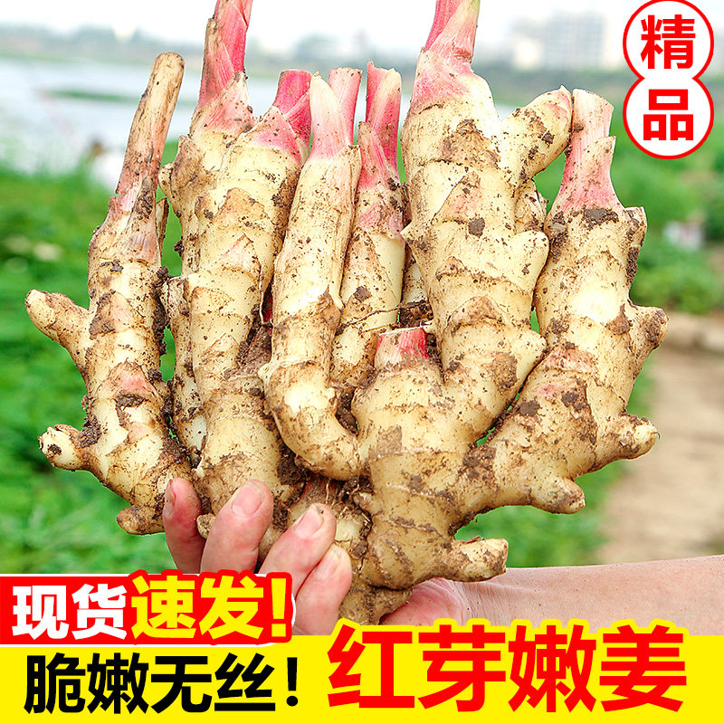 嫩姜新鲜大仔姜子姜山东红芽生姜山东指头姜非云南小黄姜老醋鲜姜