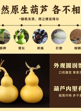 2025小天然葫芦摆件开口空心闭口干真木葫芦胖墩带龙头手把件大号