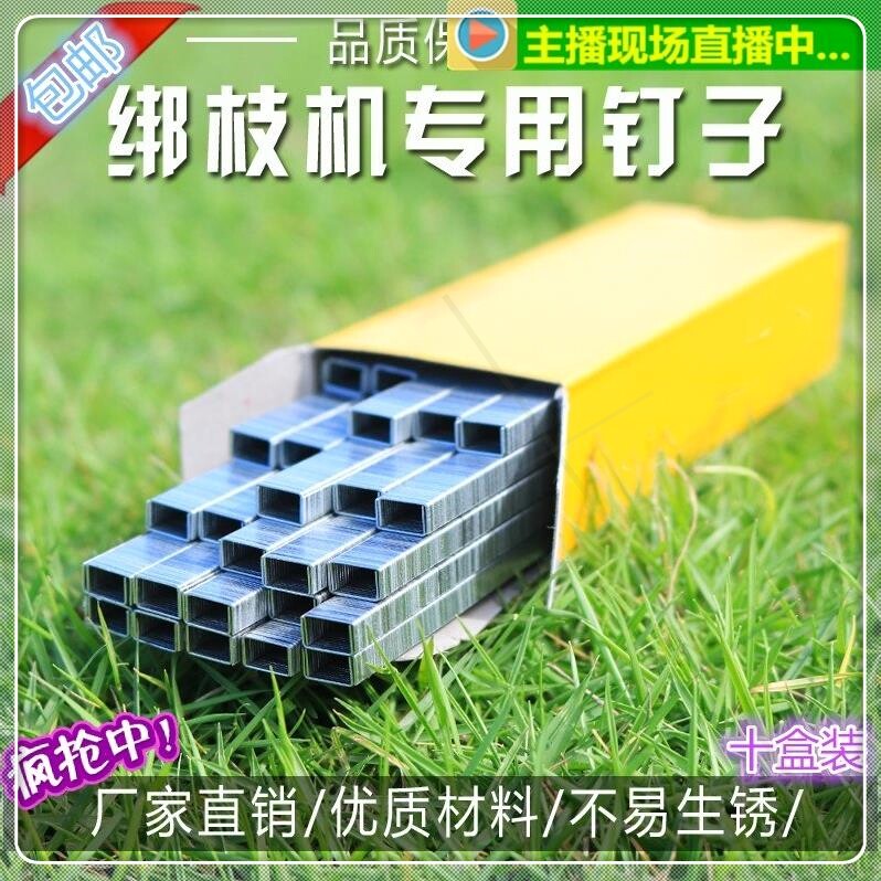 钉子加厚手动订器本子常用单钉订机订书机小便携型按压财务绑钉|msdalam kategori penghantaran bunga/bunga simulasi/tumbuhan berkebun, Gardening Supplies, Peralatan Perkebunan lain - dari Buy2taobao.com untuk memberikan perkhidmatan ejen Taobao profesional membeli