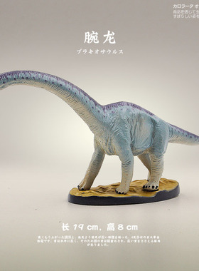日本Colorata原装正品 侏罗纪博物馆恐龙玩具雷腕龙儿童收藏礼品