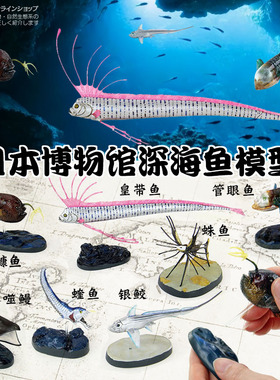 日本Colorata原装正品深海鱼博物馆皇带鱼可怕海底生物收藏模型