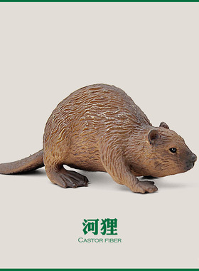 CollectA我你他 88382河狸海狸欧洲仿真丛林野生动物模型儿童玩具