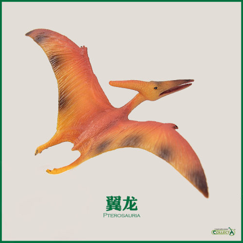 CollectA我你他 88039翼龙 仿真恐龙动物侏罗纪模型儿童玩具认知