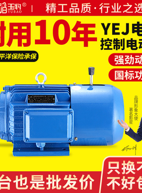 铜芯Y2EJ电磁制动三相异步电动机380V失电刹车电机铜线马达带抱闸