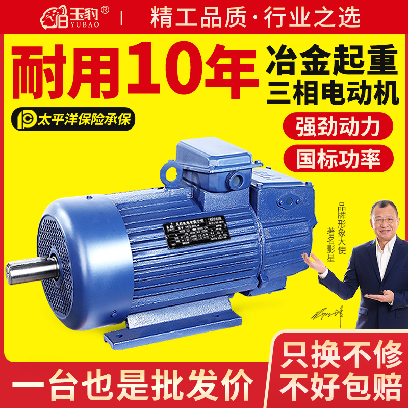 三相异步电动机全铜冶金起重