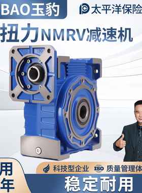 RV30 40 50 63 75 90110减速机蜗轮蜗杆齿轮箱小型NMRV涡轮减速器