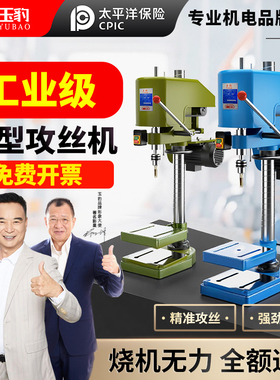 重型工业级台式攻丝机全自动小型电动攻牙机微型SWJ12/16套丝螺纹