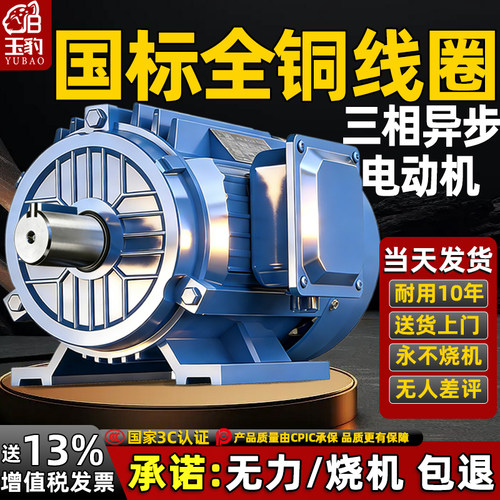 【耐用10年】全铜三相异步电动机