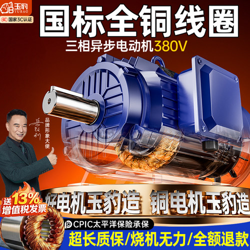 国标耐用全铜芯电机380V三相永不烧机纯铜线圈小型三相异步电动机