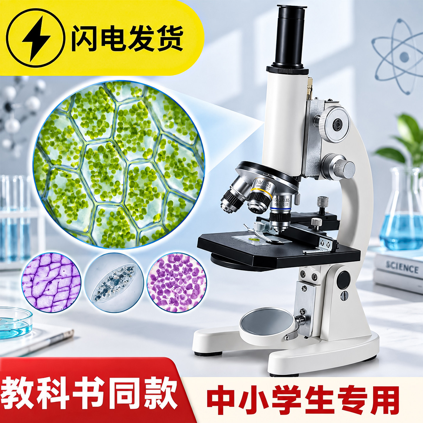 【专业级可看细菌】光学显微镜图片