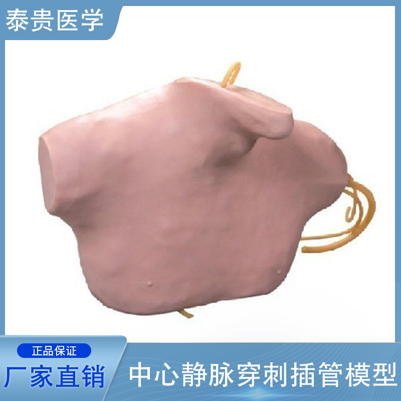 中心静脉穿刺插管模型深静脉注射