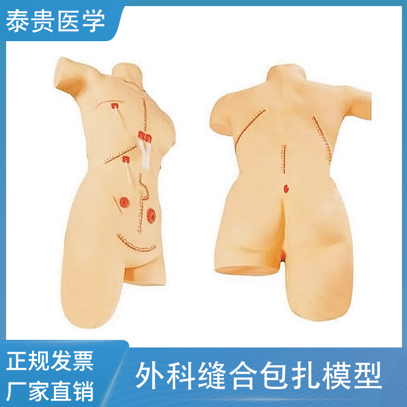 外科缝合包扎展示模拟人创伤急救