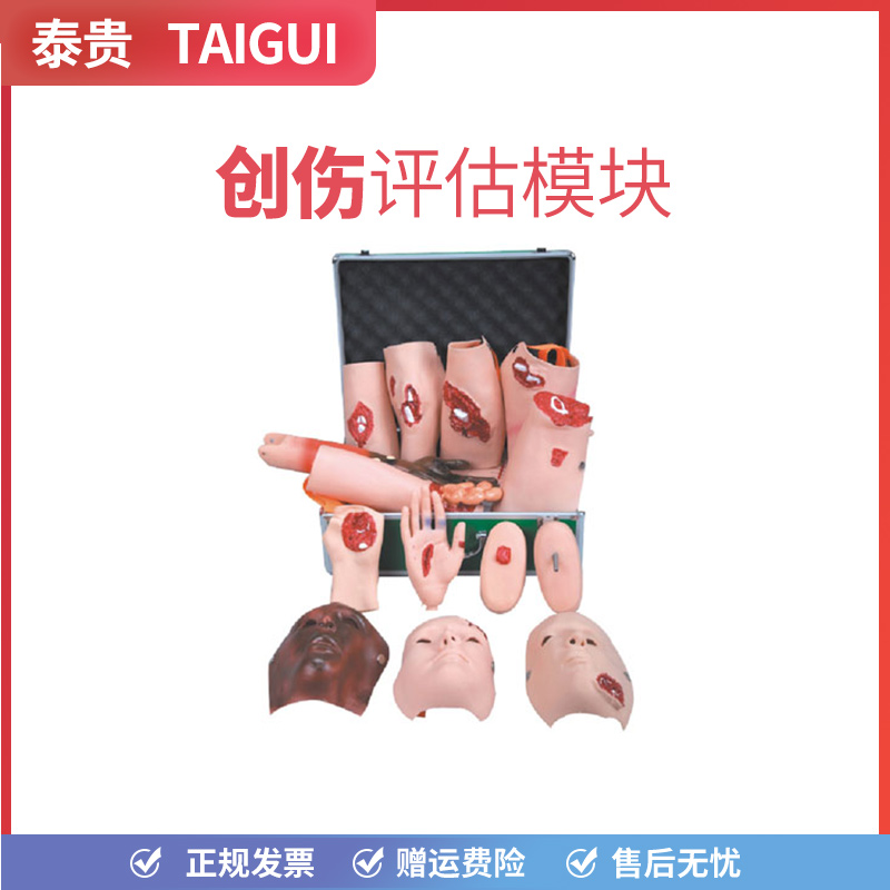 泰贵J110-16创伤评估模块烧伤骨折固定包扎护理教学假人体模型