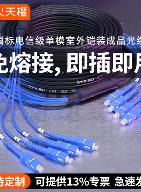烽火天橙国标成品室外铠装光缆4芯6芯8芯12芯免熔接户外光纤线架空千兆万兆可定制四芯单模SC-LC-FC-ST跳线