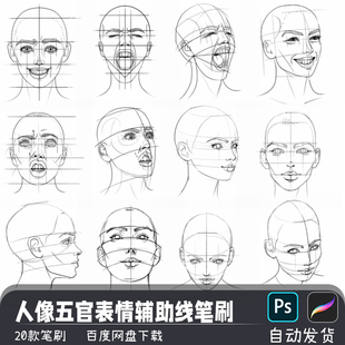 新手人像五官多面向表情辅助线procreate画笔预设PS笔刷插画素材