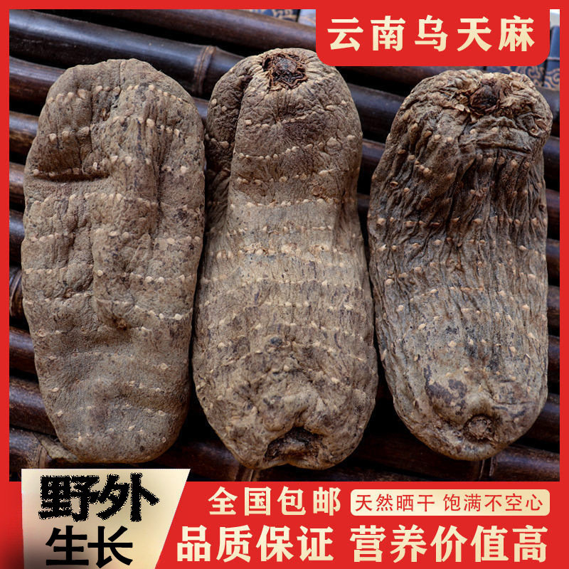 贵州大方正品仿野乌天麻高龄麻高含量中药材250g无添加自然晒
