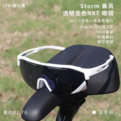 GIANT捷安特STORM暴风骑行眼镜山地车透明变色防紫外线太阳运动镜