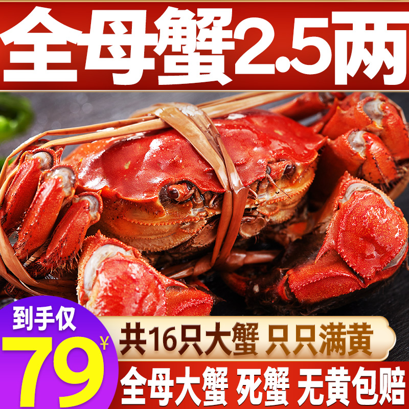 大闸蟹鲜活现货公母大蟹特大螃蟹大蟹大螃蟹水产河蟹全母螃蟹鲜活