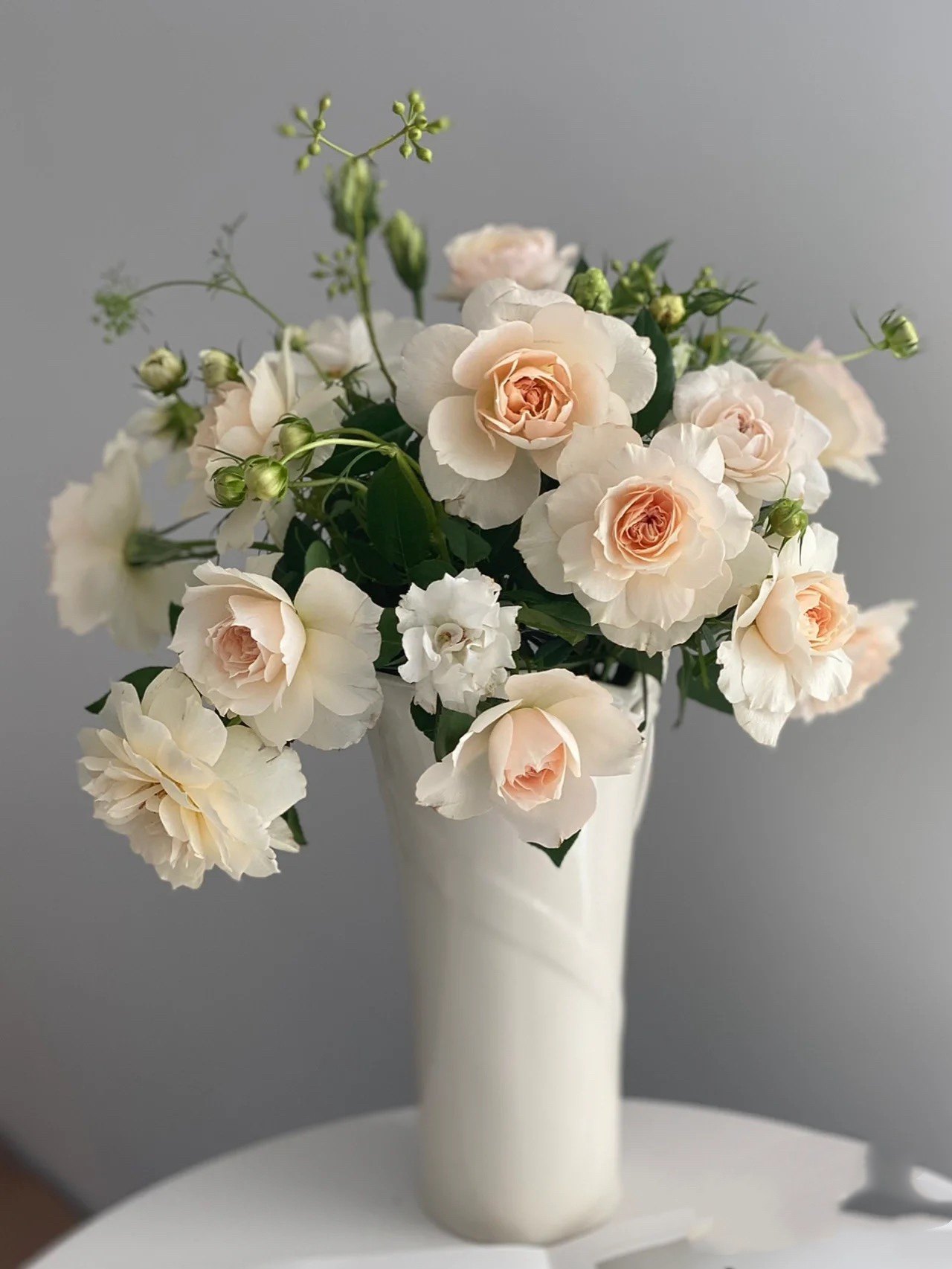 歌剧皇后月季花苗大花浓香开花杏黄欧月玫瑰四季盆栽庭院阳台花卉,鲜花速递/花卉仿真/绿植园艺,月季/蔷薇/玫瑰,淘宝优惠券,粉丝福利购,淘宝优惠卷