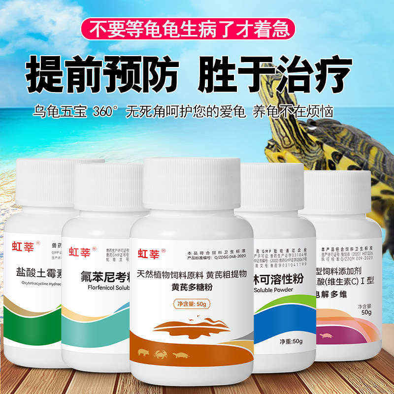 养龟常备乌龟药治疗草龟巴西龟感冒肺炎白眼小乌龟腐皮肠胃炎拉稀