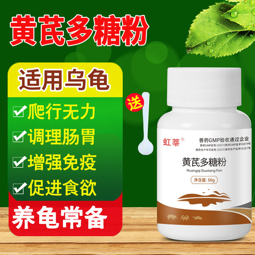 乌龟药黄芪多糖调理肠胃促进食欲