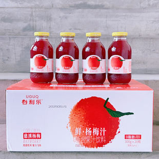 谷利乐鲜杨梅汁复合果汁饮料玻璃瓶装300g*5瓶聚会休闲饮品