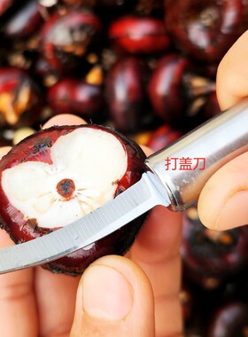 马蹄荸荠刀新款水果刀打盖刀苹果土豆可用刀
