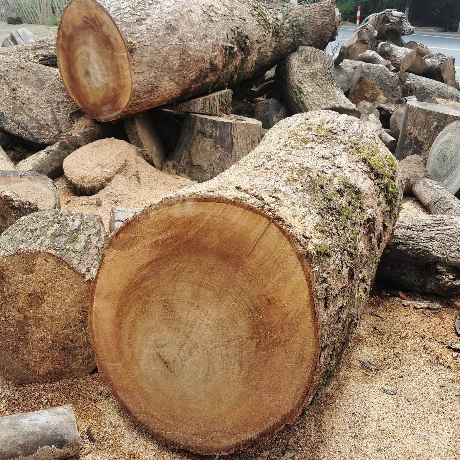 天然香樟木原木料雕刻实木料木头毛料DIY手工木墩子木板防虫蛀腐