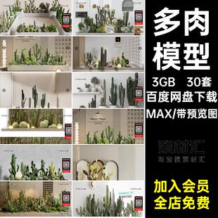 仙人掌模型绿植组合30套3dmax肉MAX库庭院植物景观3D盆栽堆造景