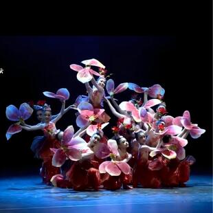 红色畅想同款演出服儿童木棉花开爱国红色剧目女子群舞舞台表演服