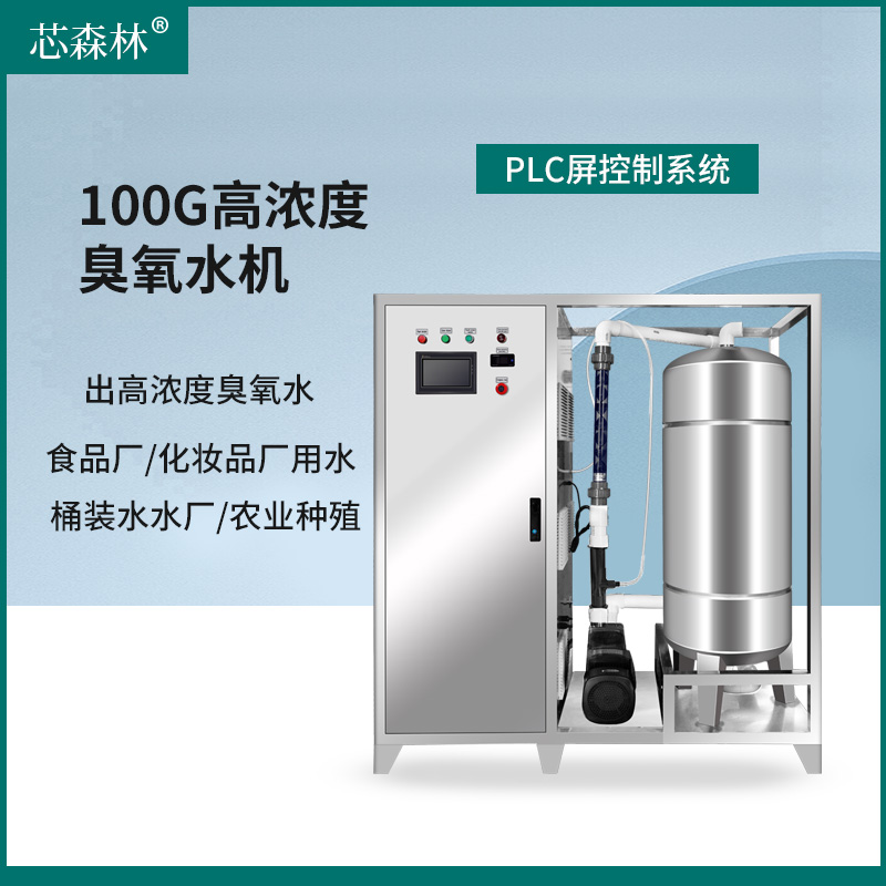 臭氧发生器100g商用型高浓度臭氧水处理高效消毒杀菌臭氧消毒水机