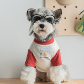 网红狗狗衣服夏天薄款 防掉毛贵宾比熊柯基雪纳瑞小型犬宠物猫衣服