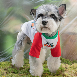 可爱狗狗衣服夏季薄款纯棉拼接宠物T恤博美比熊柯基雪纳瑞衣服潮