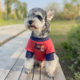 狗狗衣服夏天防掉毛泰迪比熊博美雪纳瑞小型犬T恤薄款 宠物猫衣服