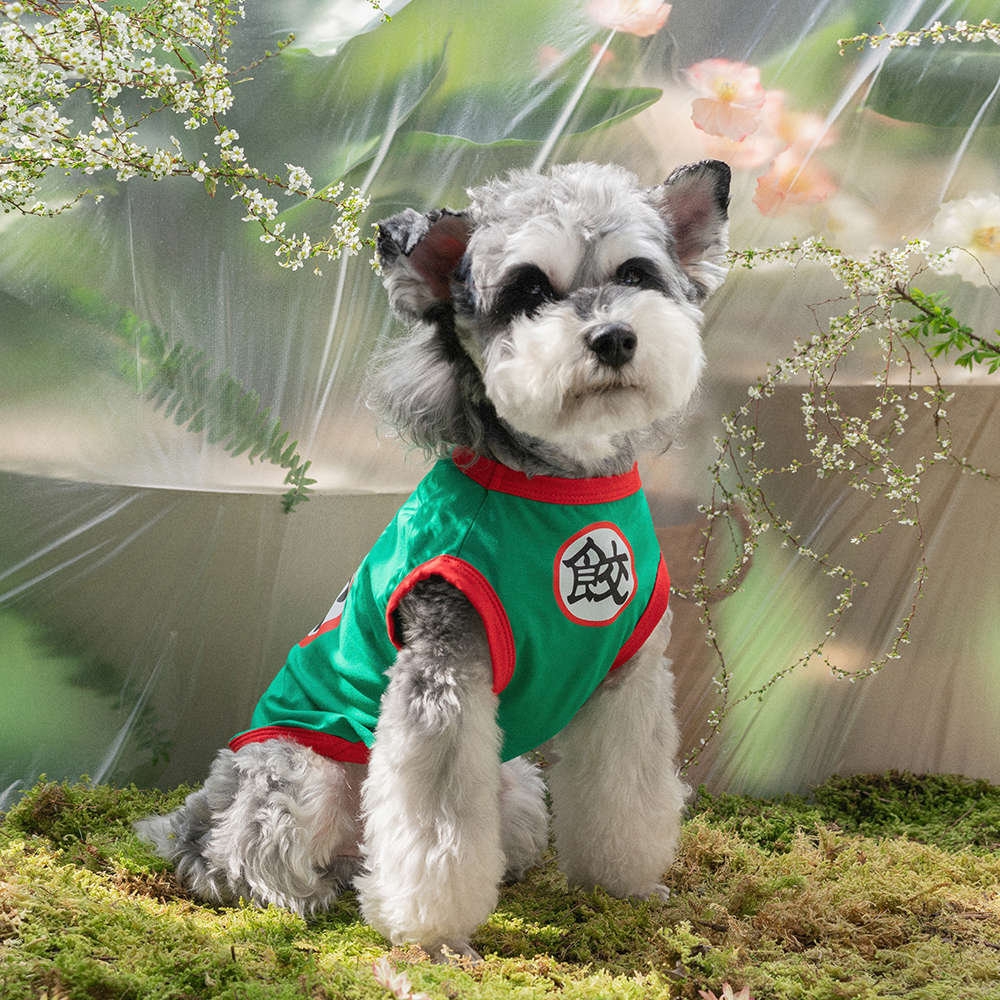 动漫卡通猫咪狗狗背心cos宠物衣服夏季薄款比熊泰迪雪纳瑞衣服潮 宠物/宠物食品及用品 狗宠物服装/雨衣 原图主图