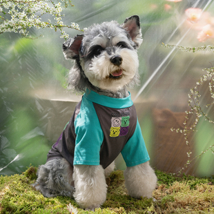 个性 宠物泰迪雪纳瑞衣服潮 猫咪狗狗衣服中小型犬T恤纯棉薄款 夏装