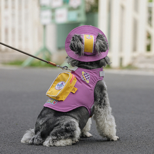 可爱狗狗胸背带外出露营宠物背包衣服泰迪比熊雪纳瑞胸背可牵引潮