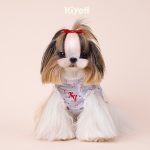 小马西施 裙文艺碎花春夏新款 KIYOTT 蓝调时刻宠物狗狗条纹衬衫