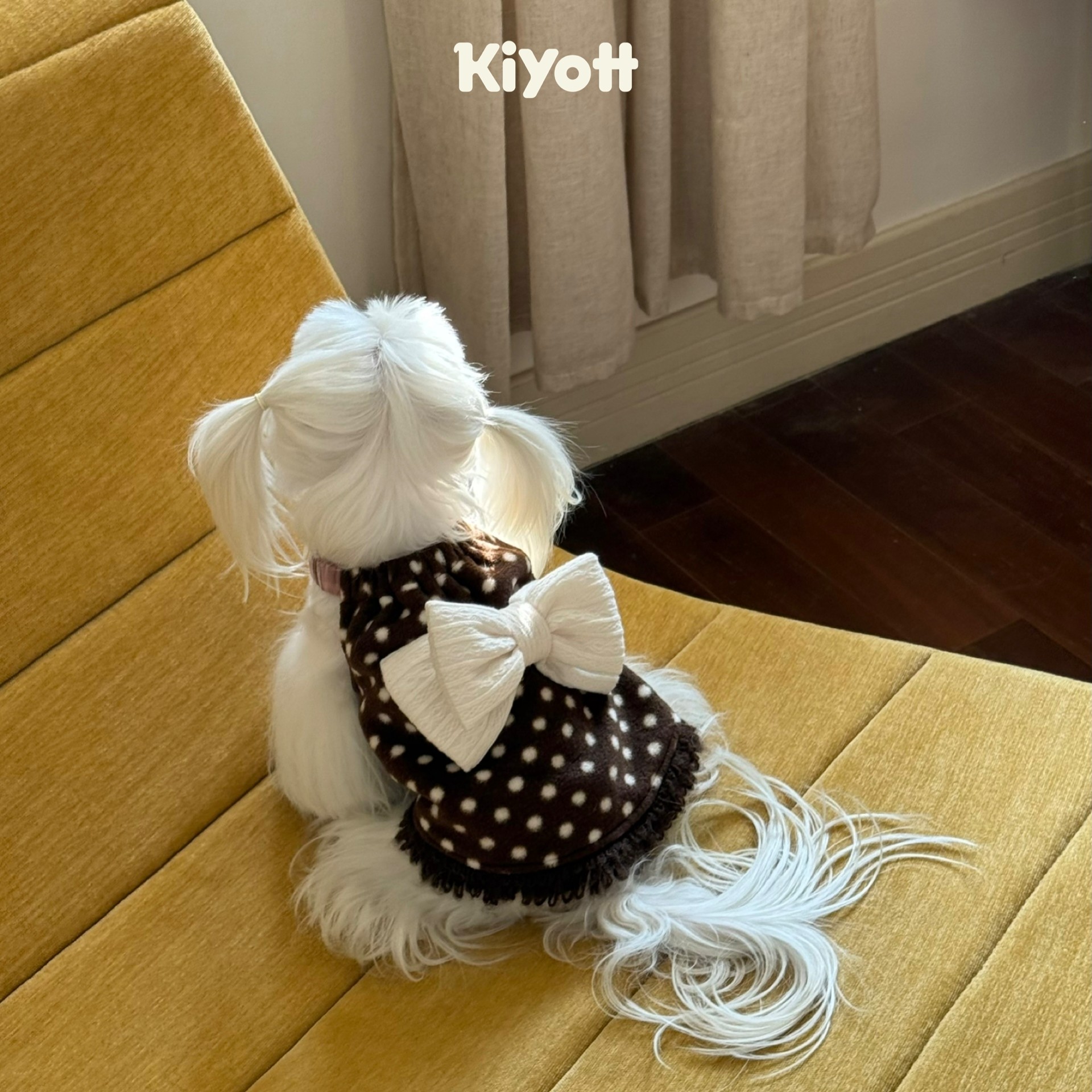 KIYOTT 焦糖奶泡连身裙宠狗宠物服装/雨衣