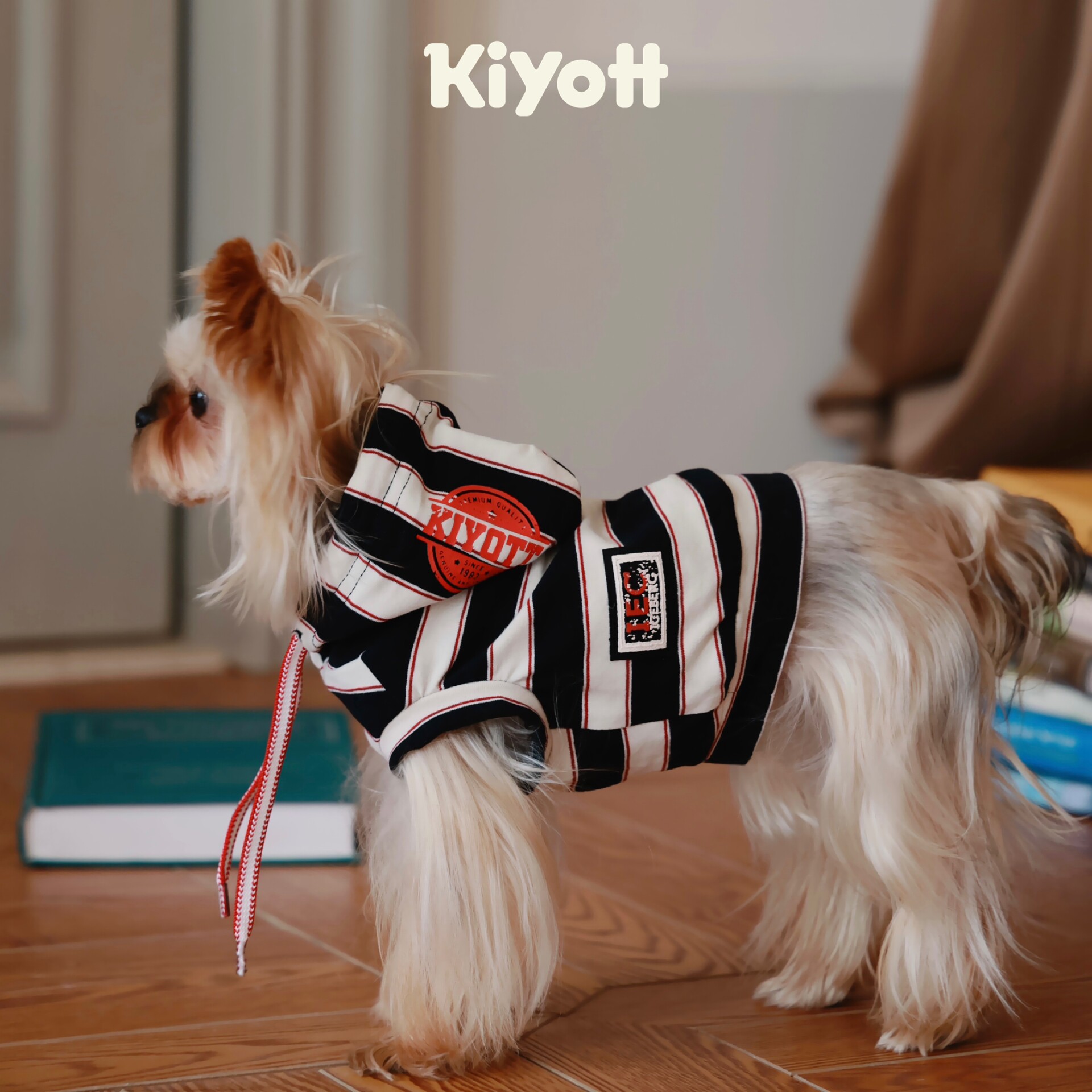 KIYOTT 你好 我有一个帽衫 条纹宠物狗狗约克夏春季卫衣帅气