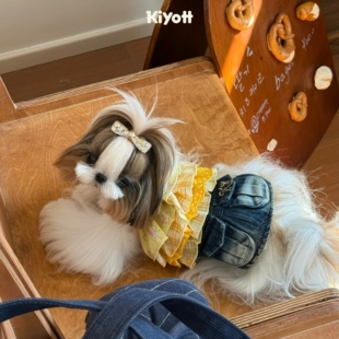 KIYOTT 橘子海吊带牛仔裙宠物衣服亮色清新拼布帅气西施小型犬