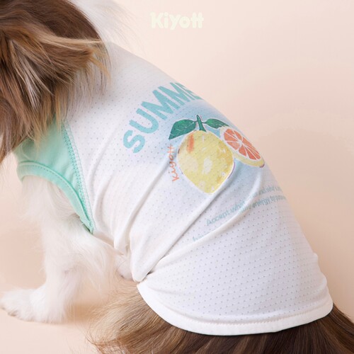 KIYOTT 小柠檬冰丝防晒透气凉凉衣夏天新款舒适西施小马
