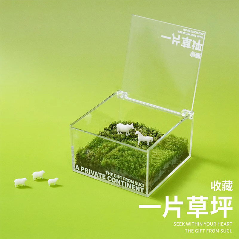 一片草坪苔藓微景观空气净化器懒人礼物解压神器植物桌面观赏绿植