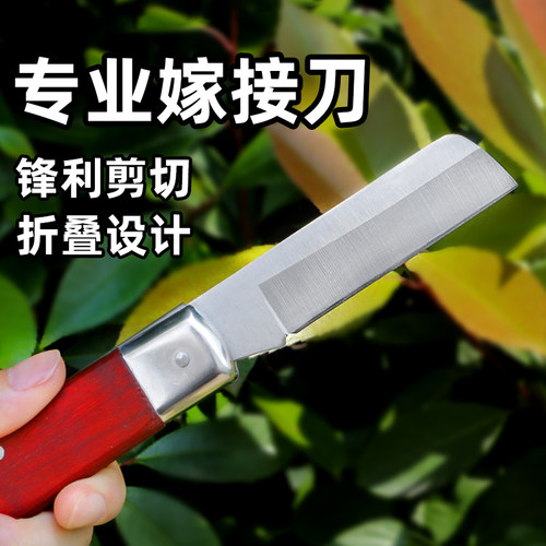 锋钢果树嫁接专用刀园艺工具全套