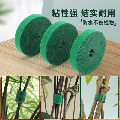 植物园艺绑带魔术贴双面粘绑花器