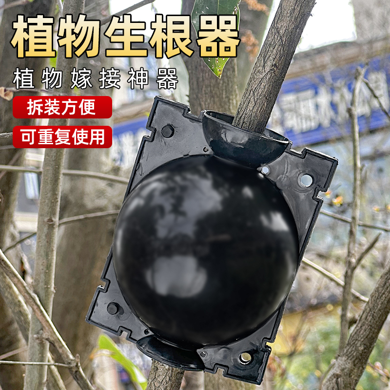 绿植物高压繁殖嫁接盒花卉扦插育苗嫁接神器高压繁殖球果树生根盒