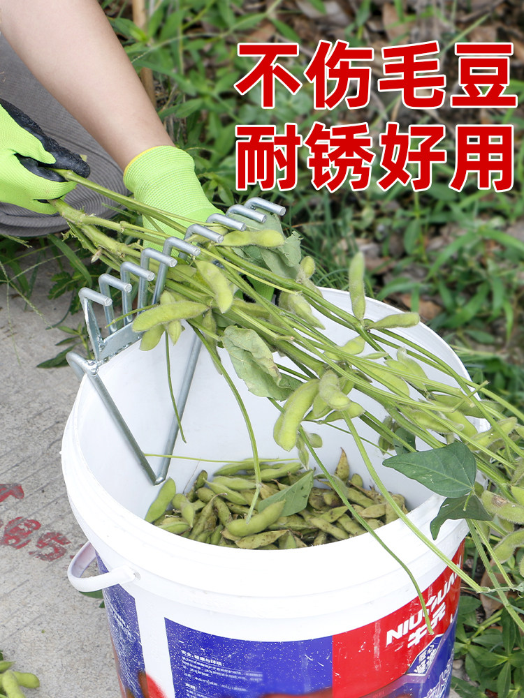 摘毛豆神器剥毛豆采摘机摘菜收割机扒毛豆铁耙子家用工具花生夹子