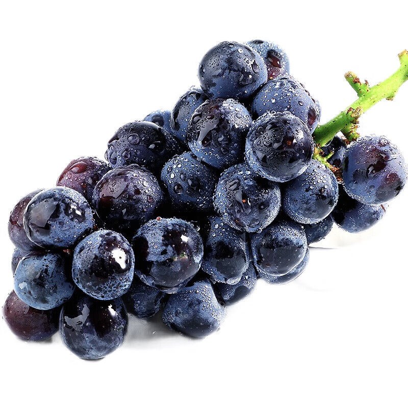 正宗云南夏黑葡萄新鲜现摘无籽当季当季5斤水果非巨峰红提